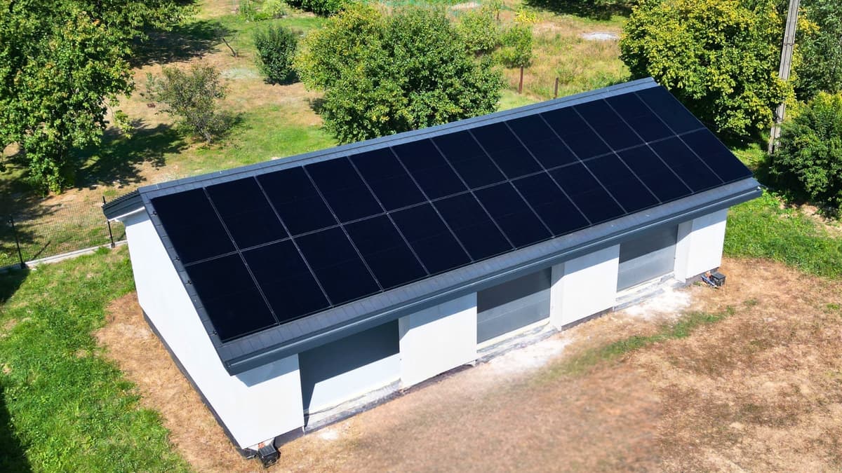 Ekologia, która się opłaca.